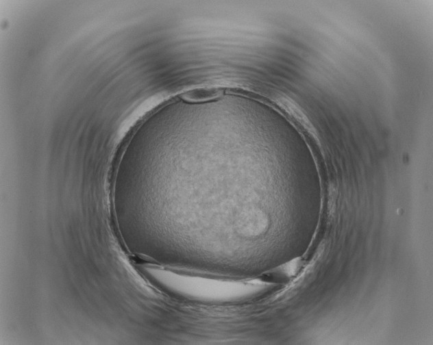 X0000088380789200706121144