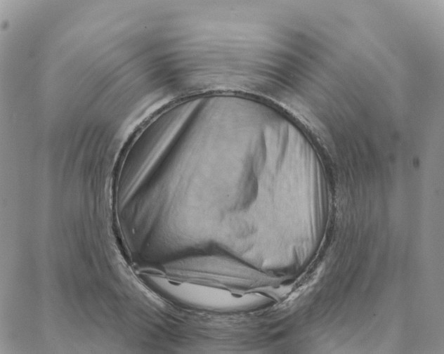 X0000088380790200706121144