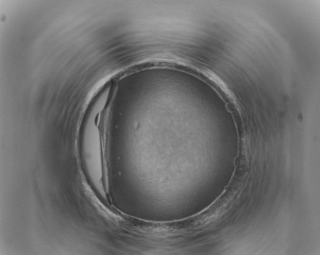 X0000088380791200706121144