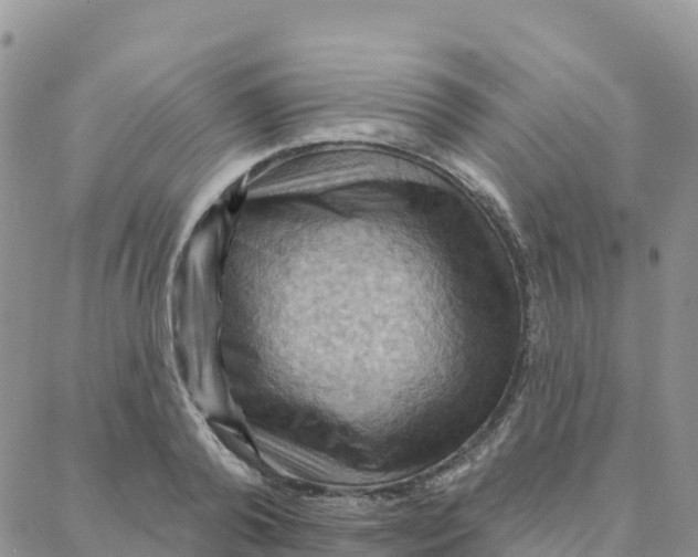 X0000088380792200706121144