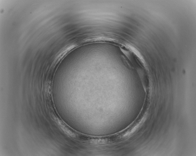 X0000088380793200706121144