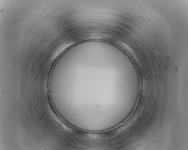 X0000088380794200706121144