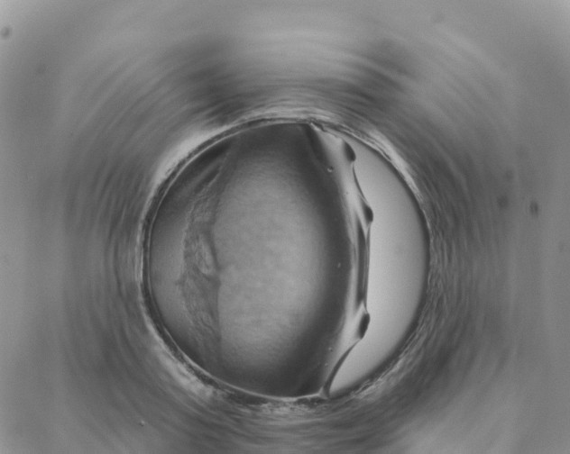 X0000088380795200706121144