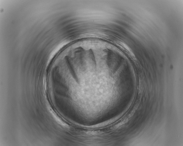 X0000088380796200706121144