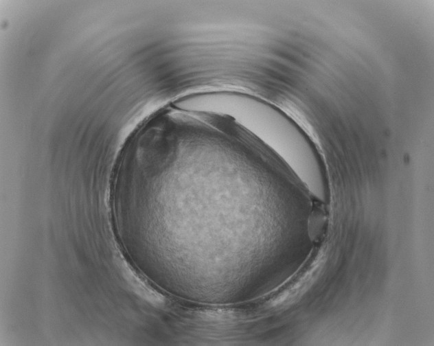 X0000088380797200706121144