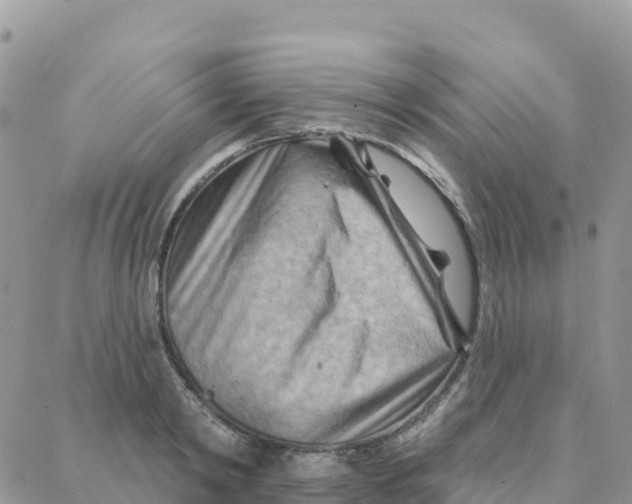 X0000088380798200706121144