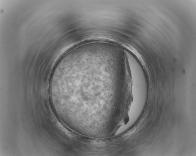 X0000088380799200706121144