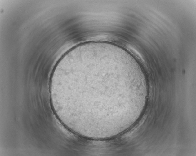 X0000088380800200706121144