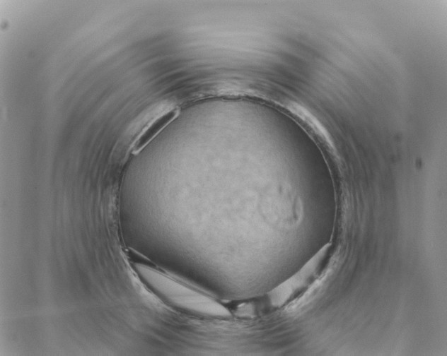 X0000088380801200706121143