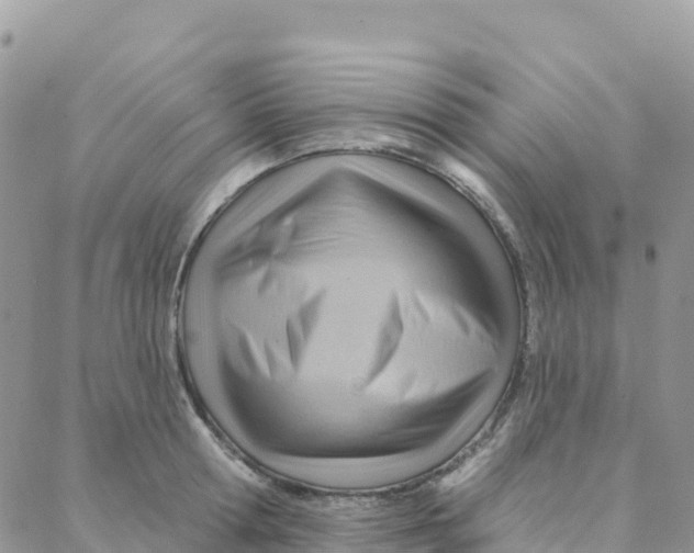 X0000088380802200706121143