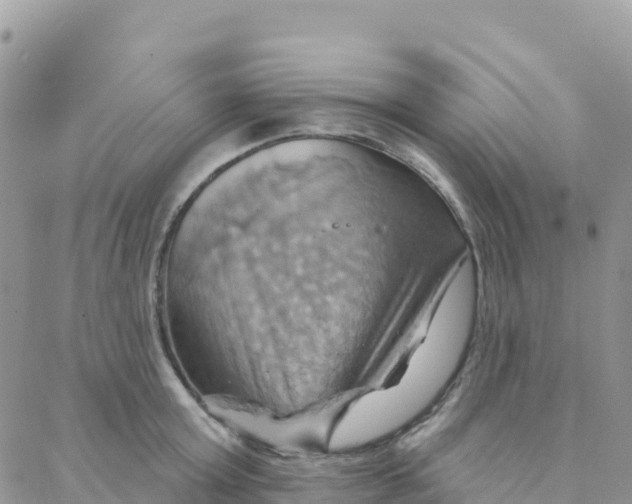 X0000088380803200706121143