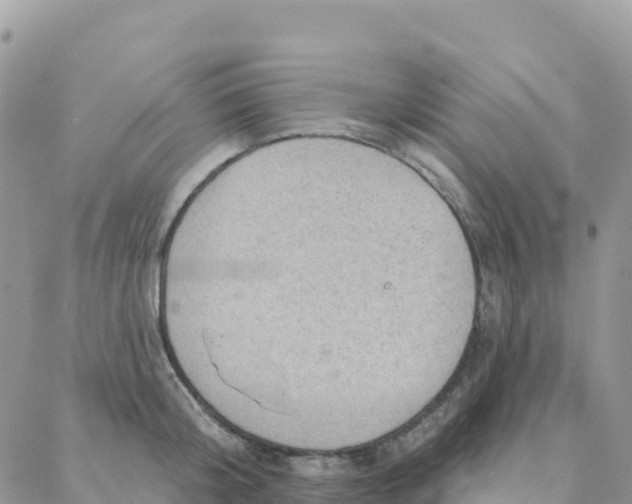 X0000088380804200706121143