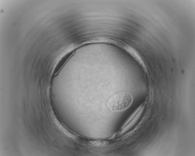 X0000088380805200706121143