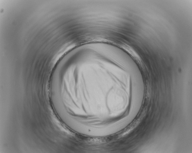 X0000088380806200706121143