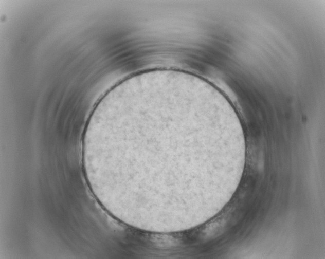 X0000088380807200706121143