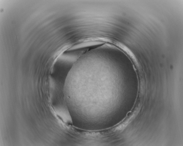 X0000088380809200706121143