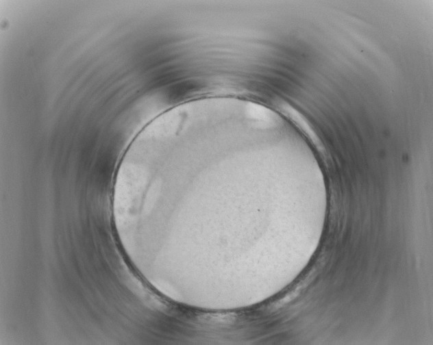 X0000088380810200706121143