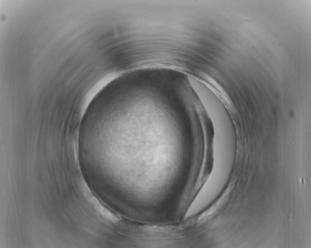 X0000088380812200706121143