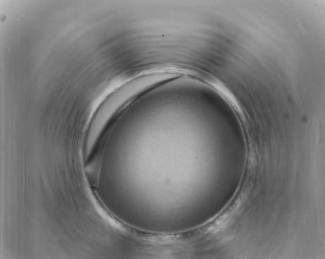 X0000088380813200706121143