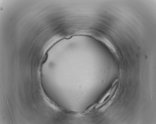 X0000088380814200706121143