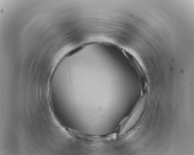 X0000088380815200706121143