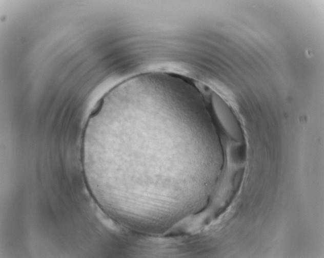 X0000088380816200706121143