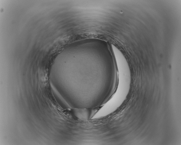 X0000088380818200706121142