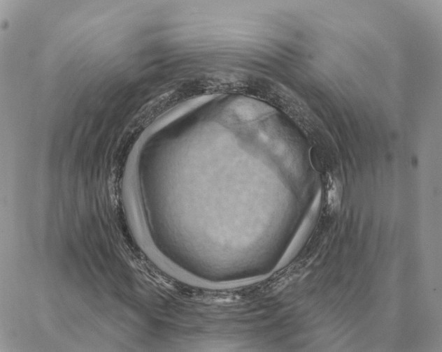 X0000088380819200706121143