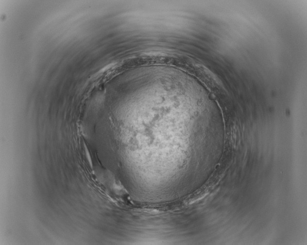 X0000088380821200706121143