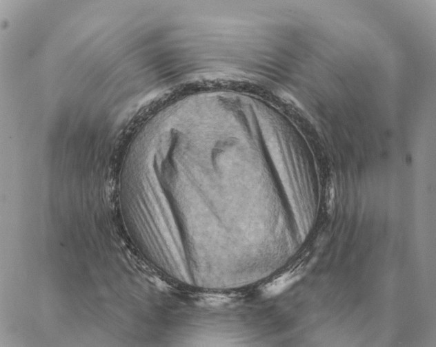 X0000088380822200706121143