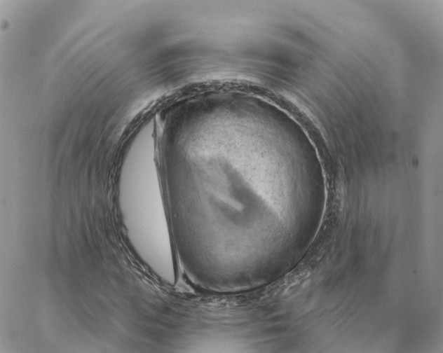 X0000088380823200706121143