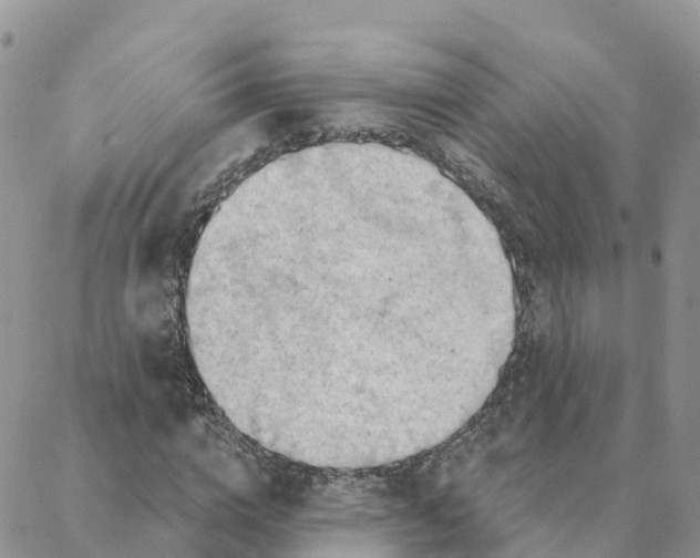 X0000088380824200706121143