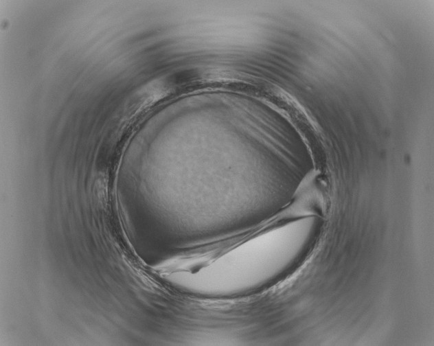 X0000088380825200706121143