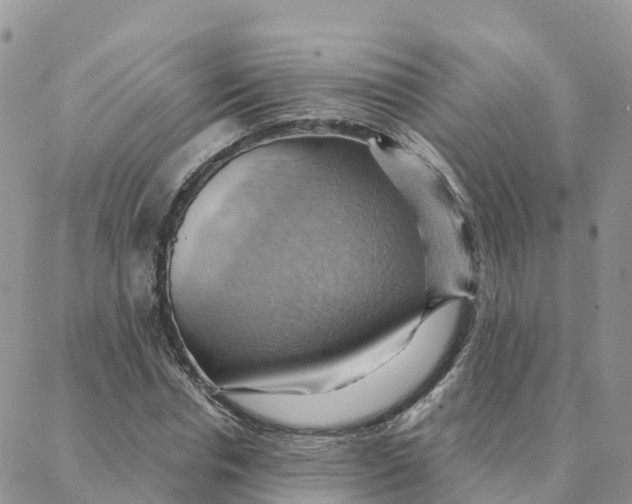 X0000088380826200706121143