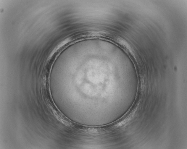 X0000088380827200706121143