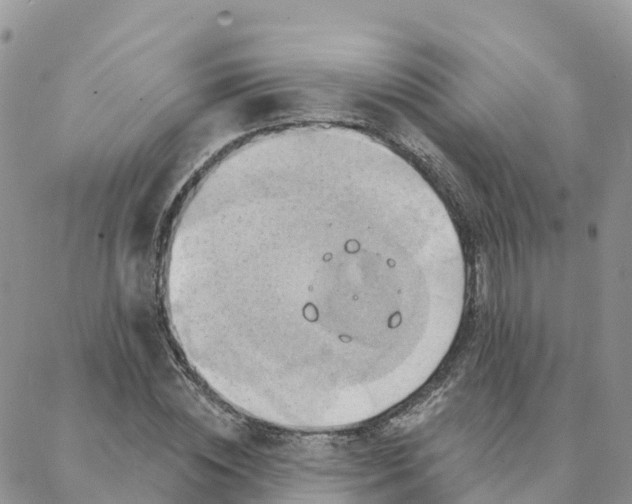 X0000088380828200706121143