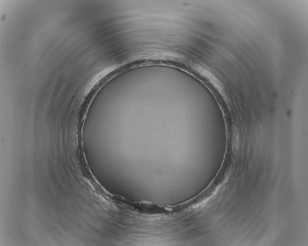 X0000088380829200706121143