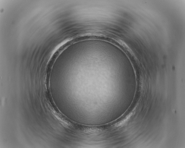 X0000088380830200706121143