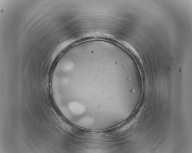 X0000088380831200706121143