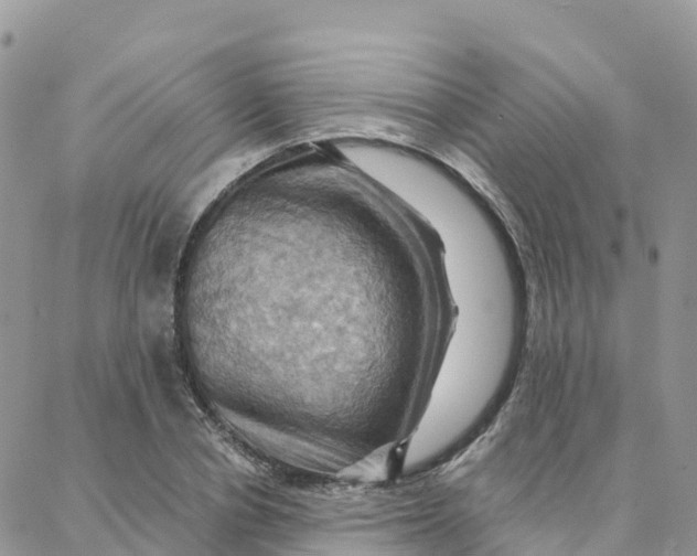 X0000088380834200706121143