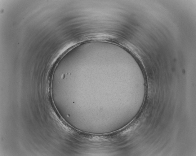 X0000088380835200706121143