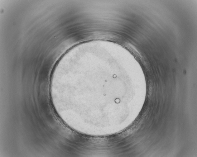 X0000088380836200706121143