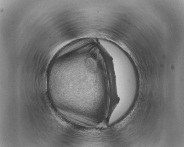 X0000088380838200706121143