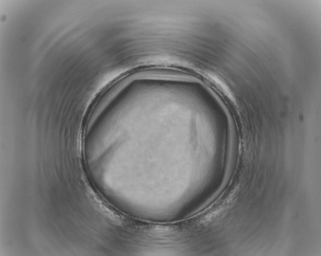 X0000088380839200706121143