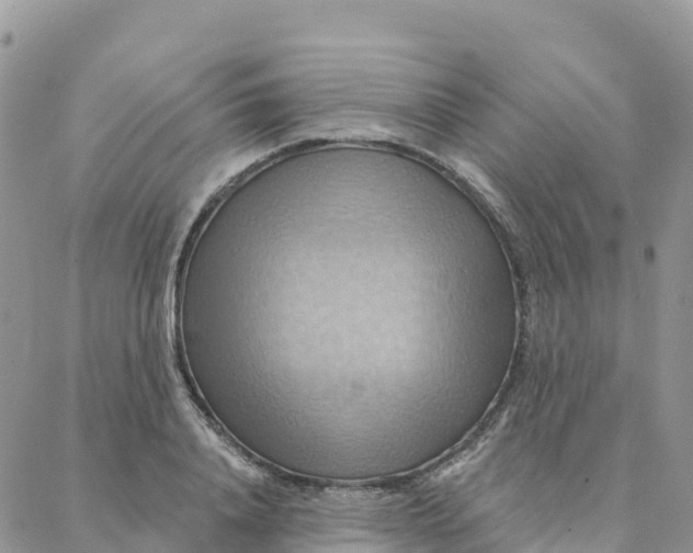 X0000088380840200706121143