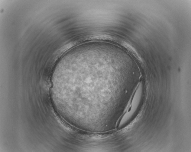 X0000088380841200706121143