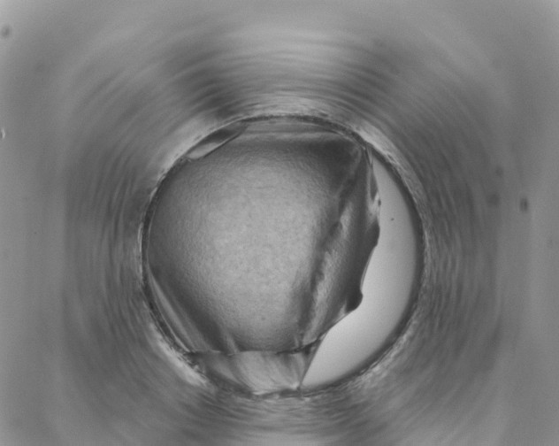 X0000088380842200706121143