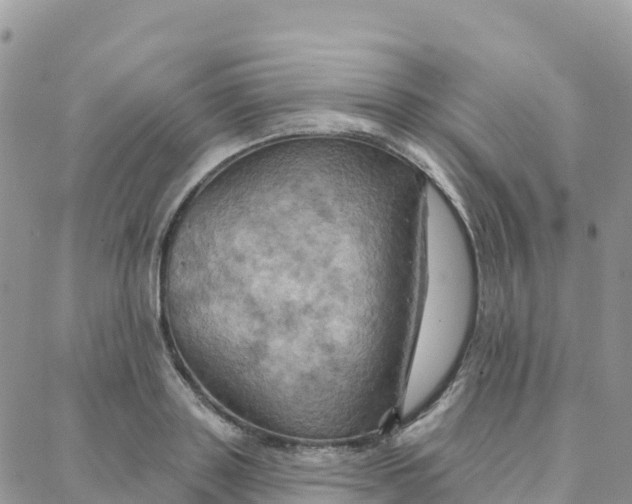 X0000088380843200706121143