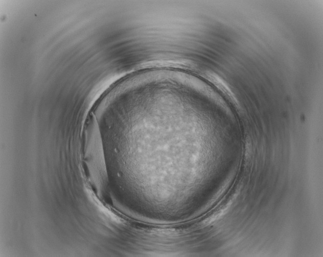 X0000088380844200706121143