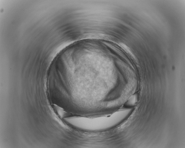 X0000088380846200706121143